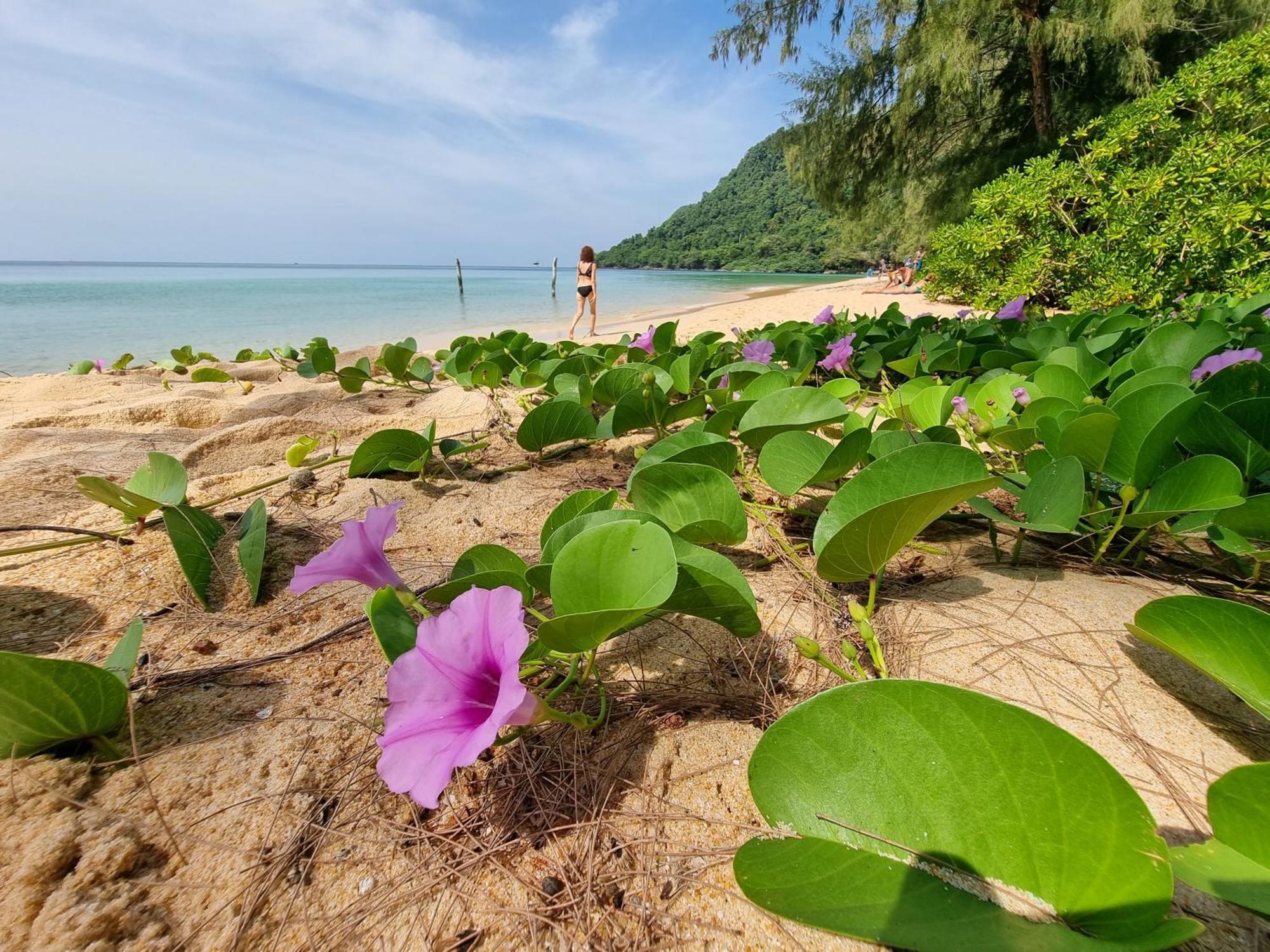 Sunboo Beach Bungalows Đảo Koh Rong Samloem Ngoại thất bức ảnh