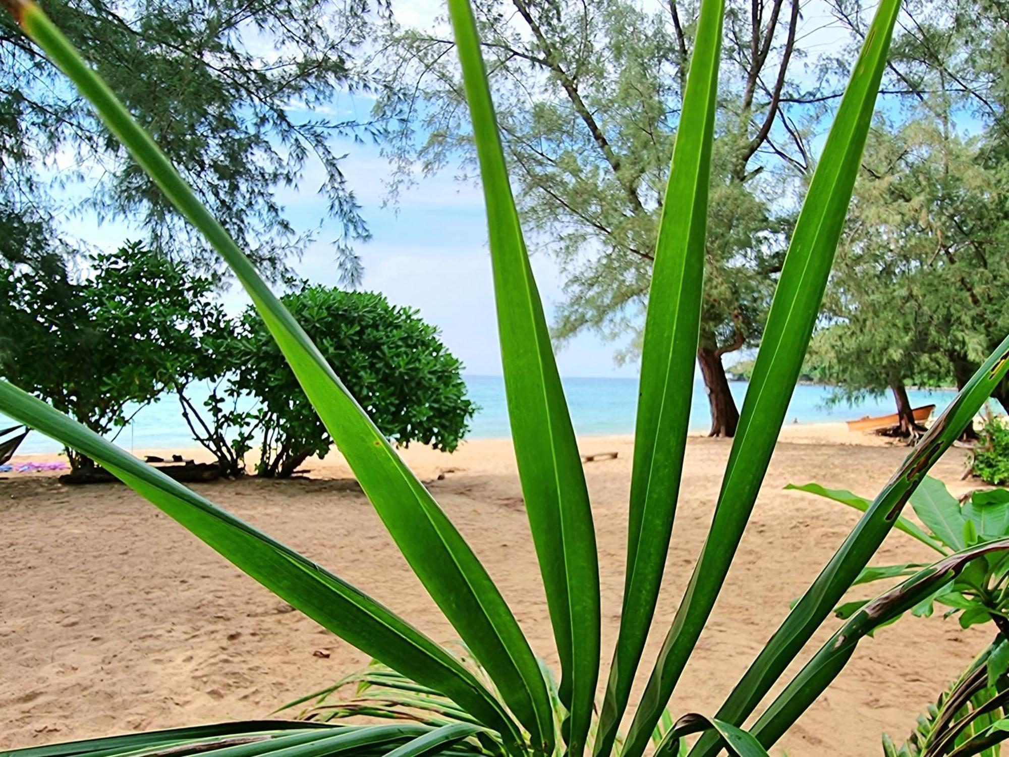 Sunboo Beach Bungalows Đảo Koh Rong Samloem Ngoại thất bức ảnh